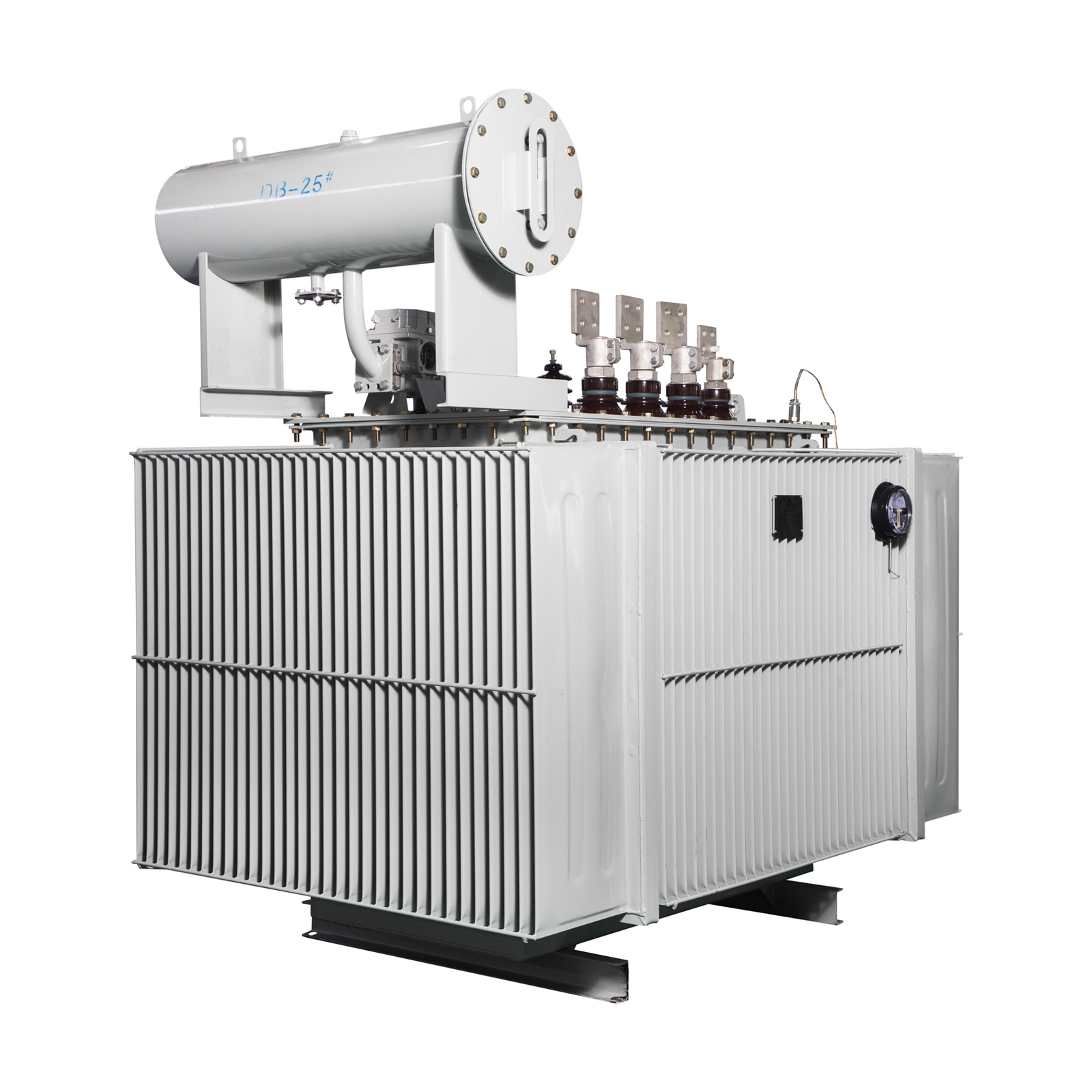 6.3kV Custom Voltage Three-Phase Oil Distribution Transformer (800kVA) — real photo